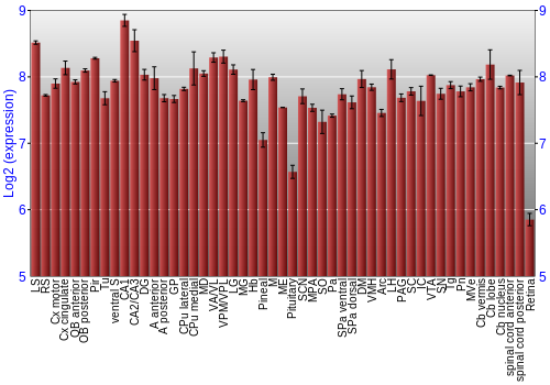Expression graph