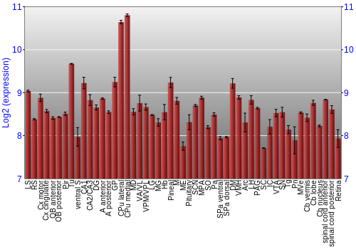 Expression graph
