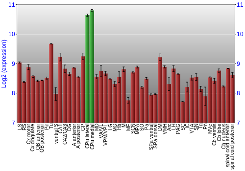 Multi-state expression graph