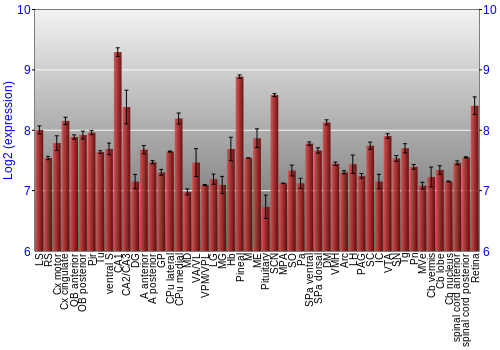 Expression graph