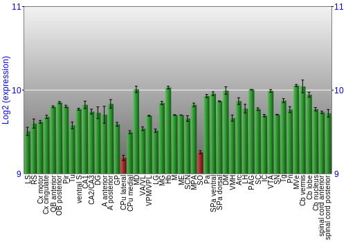 Multi-state expression graph