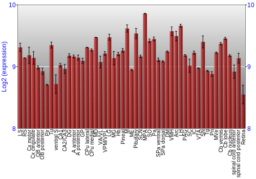 Expression graph