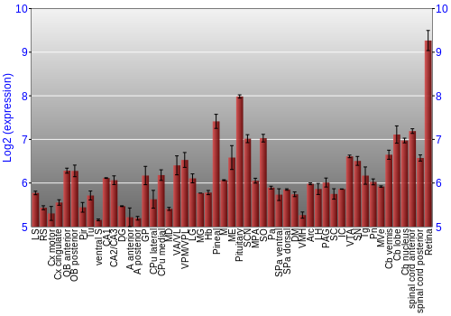 Expression graph