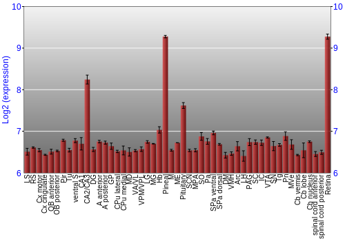 Expression graph