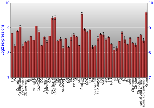 Expression graph