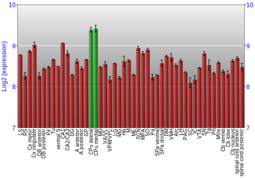 Multi-state expression graph