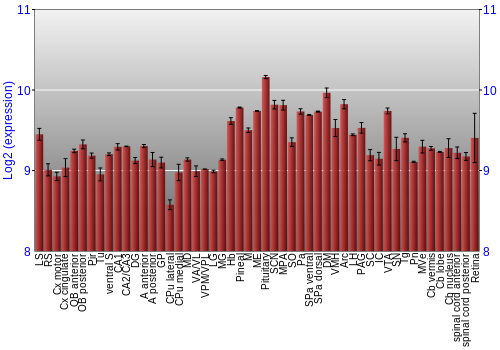 Expression graph