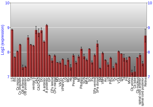Expression graph