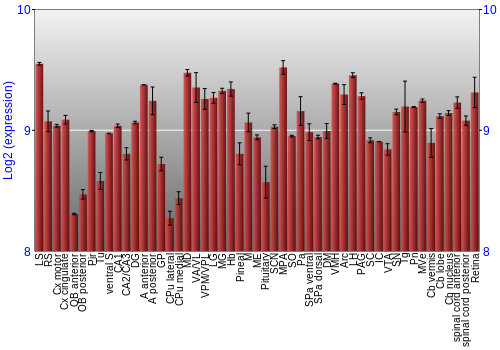 Expression graph