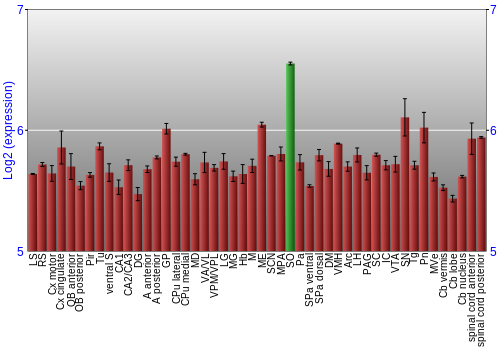 Multi-state expression graph