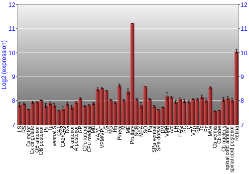 Expression graph