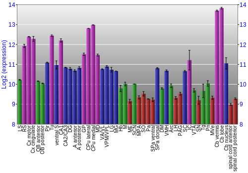 Multi-state expression graph