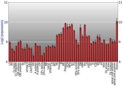 Expression graph