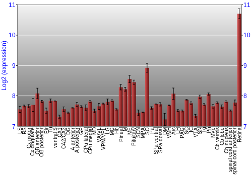 Expression graph