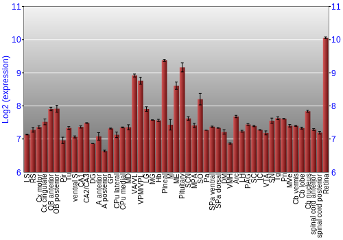 Expression graph