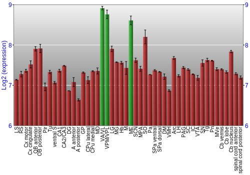 Multi-state expression graph