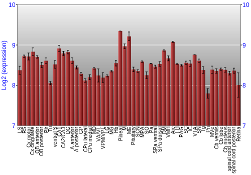 Expression graph