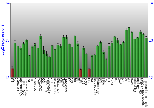 Multi-state expression graph