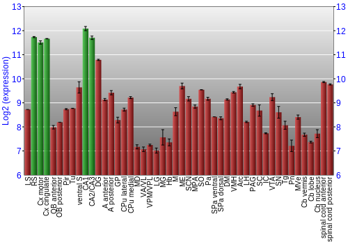 Multi-state expression graph