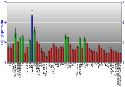 Multi-state expression graph