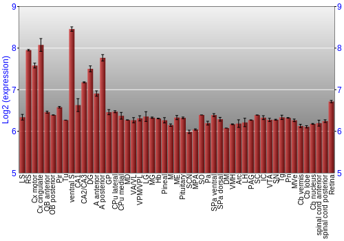 Expression graph