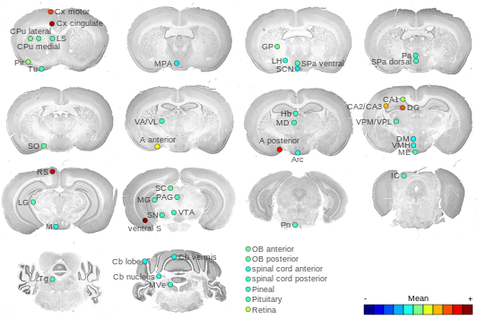 Expression map
