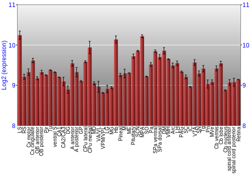 Expression graph