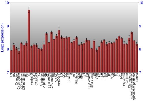 Expression graph