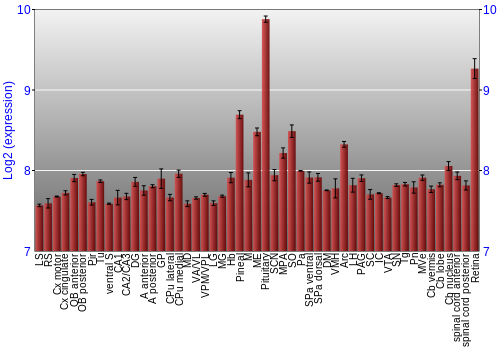 Expression graph