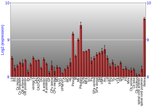 Expression graph