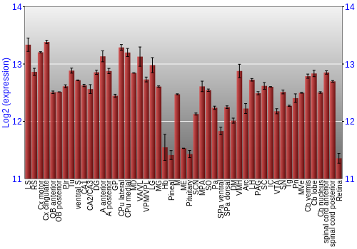 Expression graph