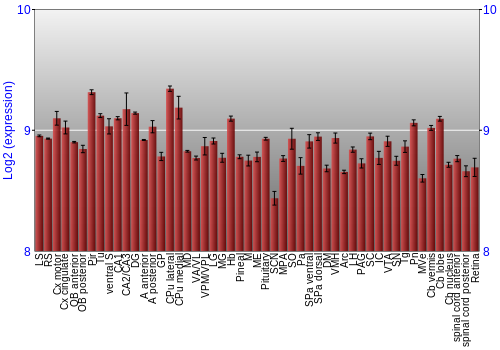 Expression graph