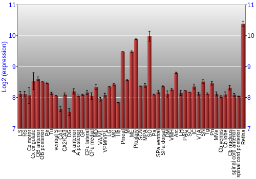 Expression graph