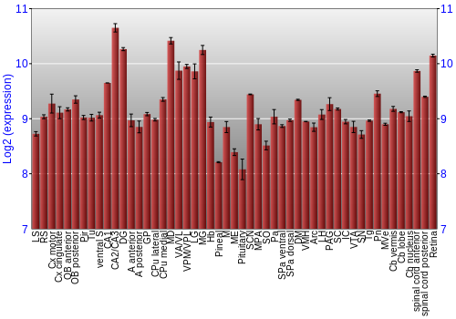 Expression graph
