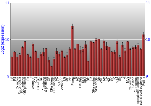 Expression graph