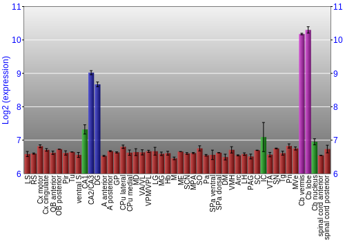 Multi-state expression graph
