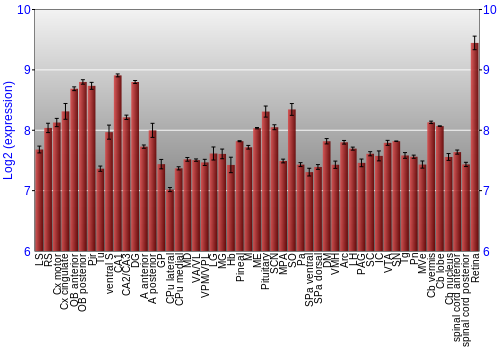 Expression graph