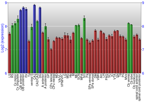 Multi-state expression graph