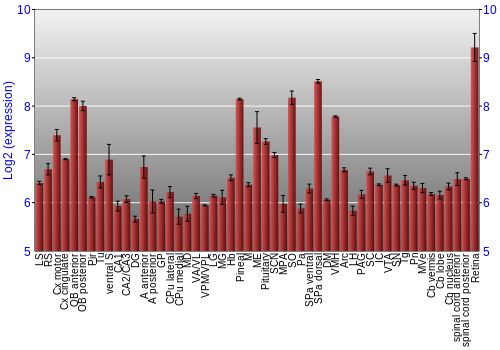 Expression graph