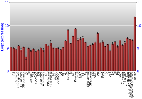 Expression graph