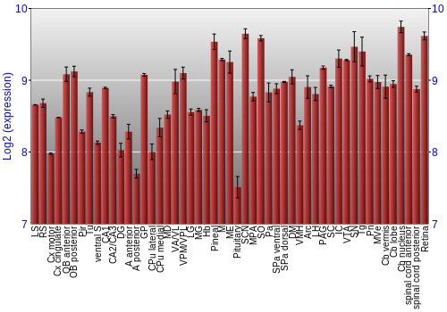 Expression graph