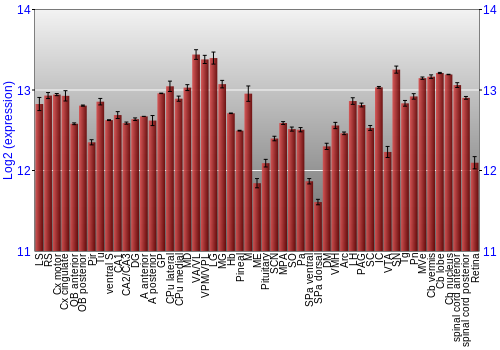 Expression graph