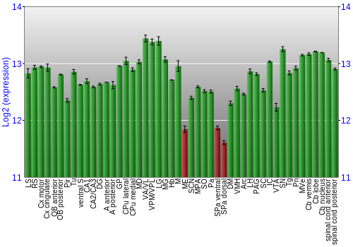 Multi-state expression graph