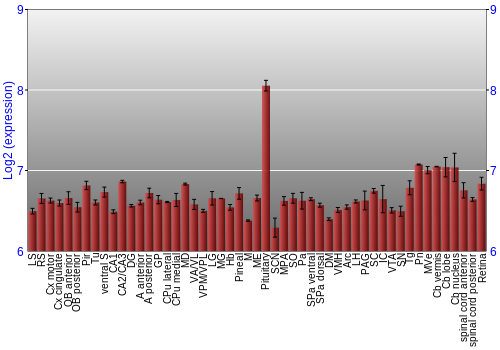 Expression graph