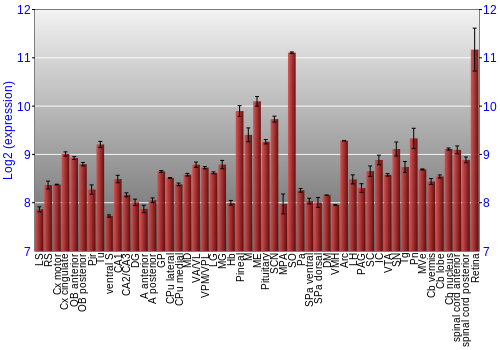 Expression graph