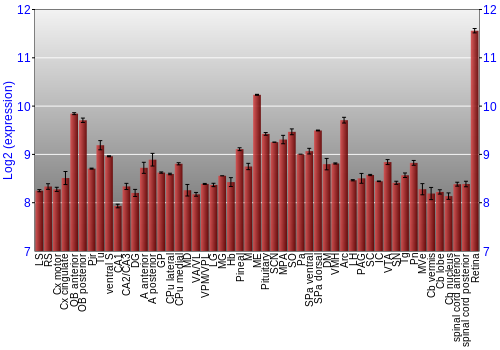 Expression graph