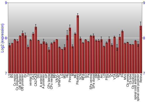 Expression graph