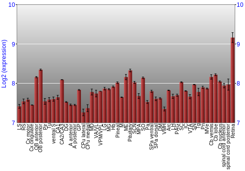 Expression graph