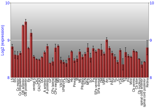 Expression graph