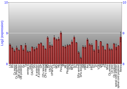 Expression graph